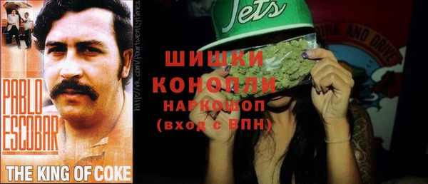 ГАЛЛЮЦИНОГЕННЫЕ ГРИБЫ Аркадак